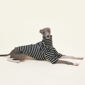 NWT Little Beast Café in Paris Sweatshirt Size XL